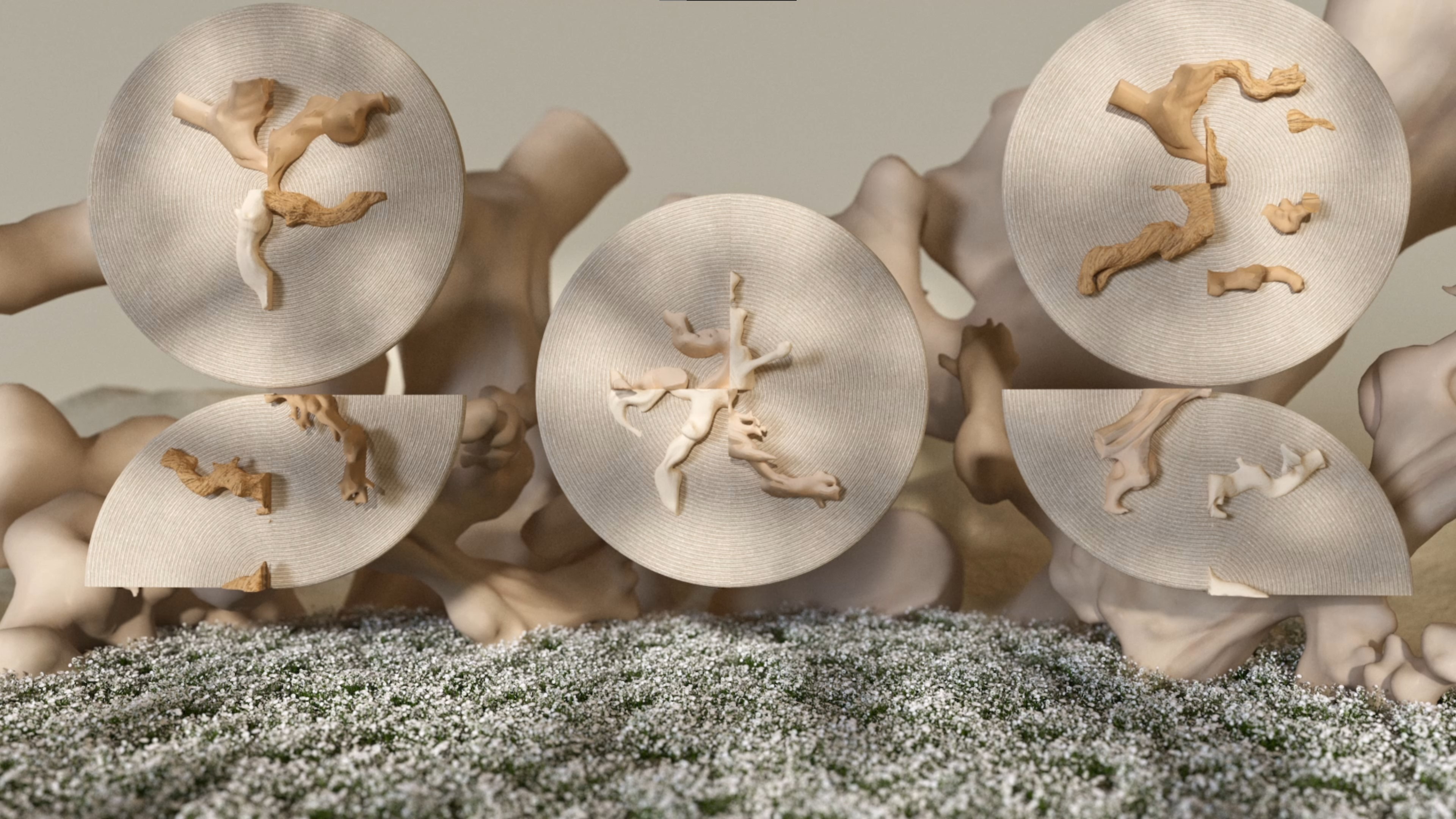 이민영 작가님, 가지가지